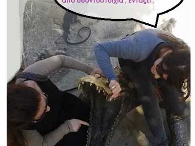 Οι φίλοι μας τα ζώα !