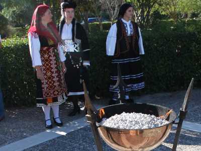 Σχέσεις ... αίματος !