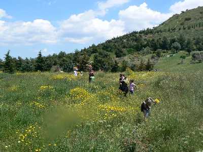 Ήρθι Μάης κι η Άνοιξη ήρθι του καλουκάιρι ...