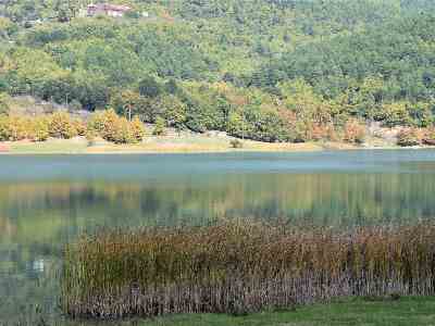 Δόξα τω Φενεώ